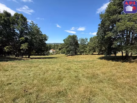 vente terrain 6433 m² à saint-girons (09200)  78 000 €