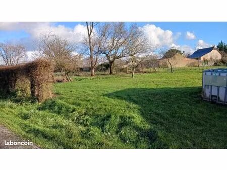 terrain constructible