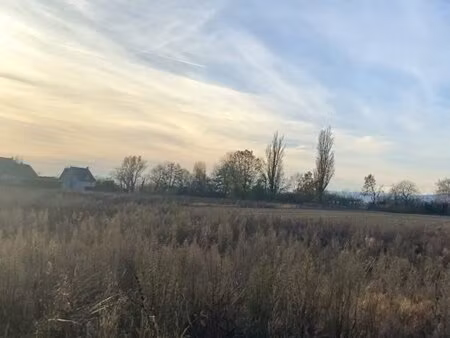 en vente terrain non constructible – 117 200 € |battenheim