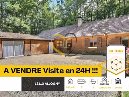 vente maison 9 pièces 246 m² à allogny (18110)  429 000 €