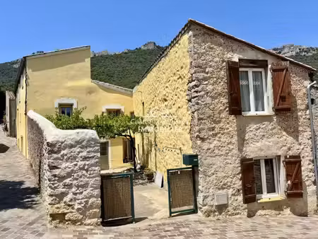 grandes maisons en pierre  fort potentiel  11350 duilhac sous pe
