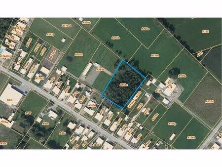 rustig gelegen perceel bebost landbouwgrond te schriek