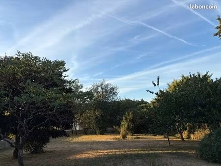 terrain constructible