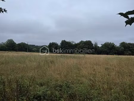 terrain de 40 655 m² à planches