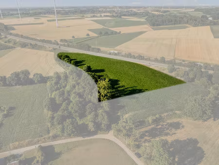 grond te koop in tongeren-borgloon