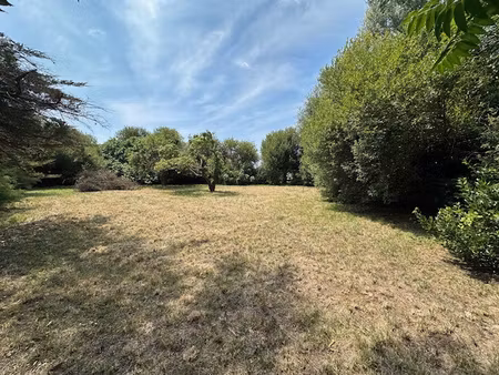 achat terrain 4 470m² l ile d yeu 85350