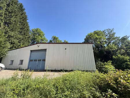 vente commerce 310 m² le cergne (42460)