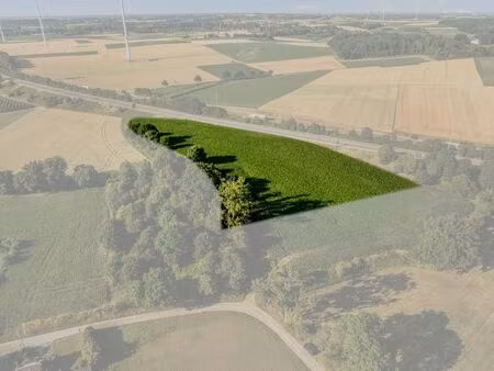 terrain à vendre à berg € 75.000 (lbjh8) - immo janssen-marres | zimmo