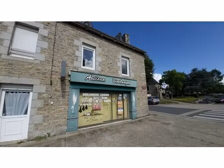 vente ancien commerce pour investissement locatif