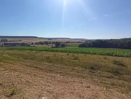 vente terrain 551 m² à semur-en-auxois (21140)  38 570 €