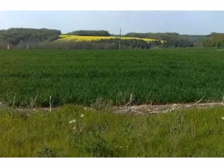 vente terrain 561 m² à semur-en-auxois (21140)  39 270 €