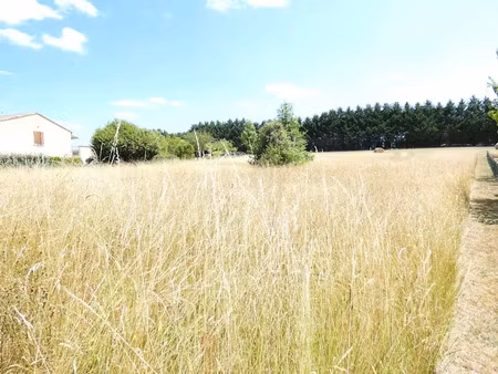 vente terrain 1590 m² à tocane-saint-apre (24350)  22 000 €