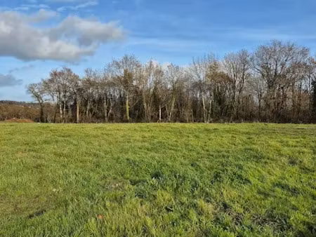 vente terrain 1201 m² à laines-aux-bois (10120)  72 000 €