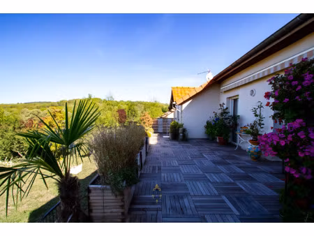 a vendre crevic belle maison familiale 