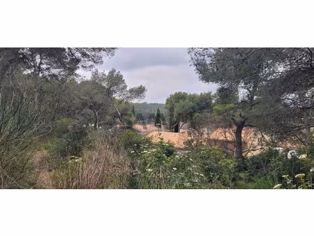 à vendre - terrain a batir 2600 m2 - caveirac
