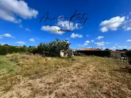 vente terrain 742 m² à la mothe-achard (85150)  99 900 €