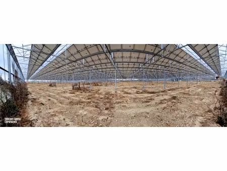 vente terrain 120000 m² à fronton (31620)  317 000 €