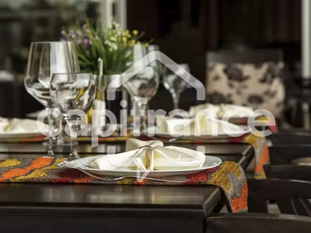 fonds de commerce restaurant  brasserie  pizzeria à vendre saint cyr l'ecole (78)