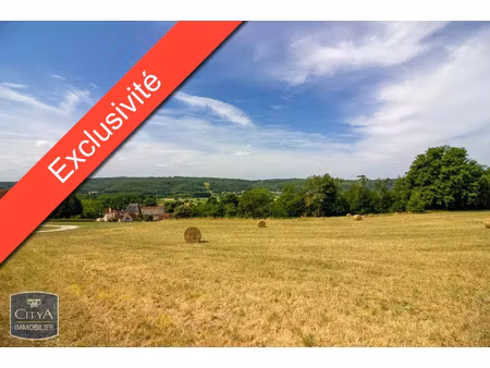 terrain à vendre 8615 m² - castels et bézenac (24) - 55 000€