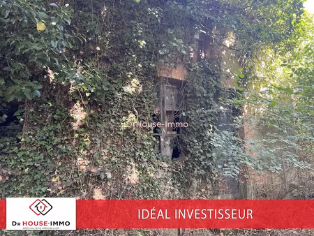 vente maison 2 pièces 40 m² à saint-plantaire (36190)  9 900 €