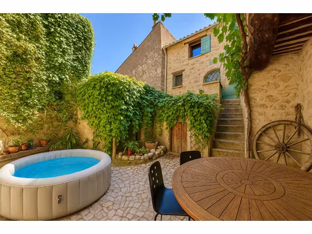 maison de charme avec cour et terrasse + chambre d'hôte