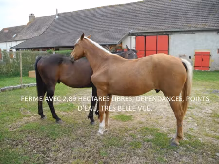 vente propriété 5 pièces 112 m² à nochize (71600)  299 000 €