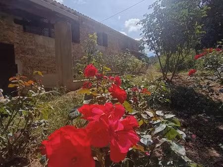 vente maison 5 pièces 103 m² à saint-julien-le-roux (07240)  336 000 €