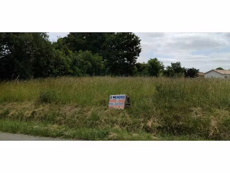 vente terrain massabrac (31310)