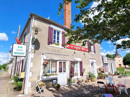 vente maison 8 pièces 150 m² feusines (36160)