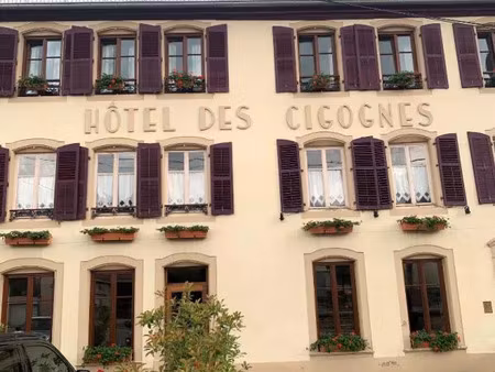 vente maison 30 pièces 2000 m² sarrebourg (57400)