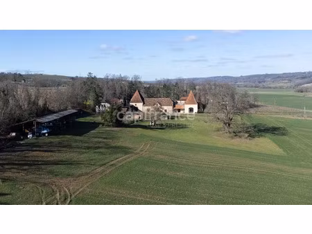 vente propriété 10 pièces 500 m² à lembeye (64350)  720 000 €