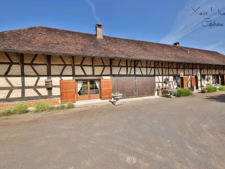 vente maison 10 pièces 480 m² à montcony (71500)  689 700 €