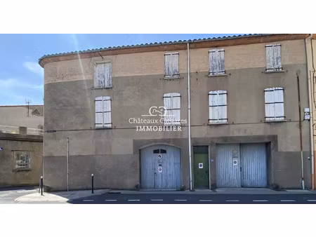 vente maison 9 pièces 235 m² saint-paul-de-fenouillet (66220)