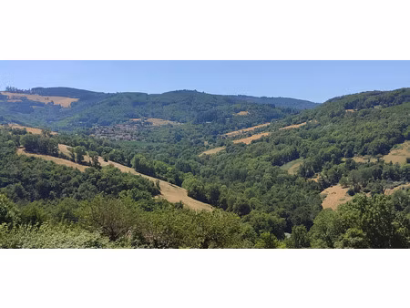 vente terrain 1200 m² saint-pierre-la-palud (69210)