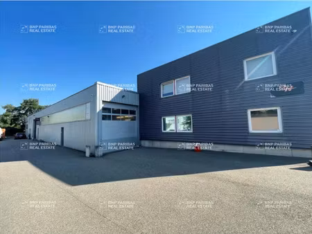 vente local d'activités hœnheim 67800