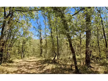 terrain chasteaux m² t- à vendre  65 000 €