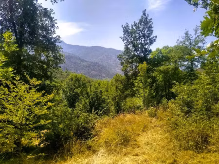 vente terrain 1370 m² à clara-villerach (66500)  56 840 €