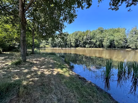 vente terrain 49655 m² à saint-désiré (03370)  77 000 €