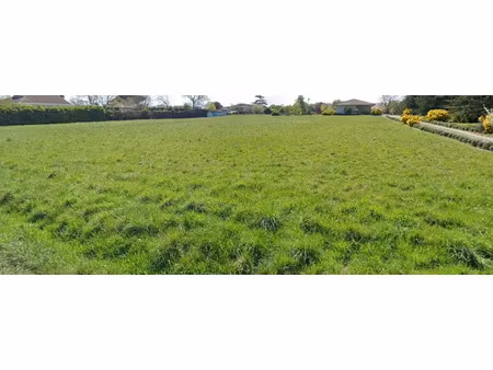 vente terrain 700 m² à saint-caprais-de-bordeaux (33880)  120 000 €