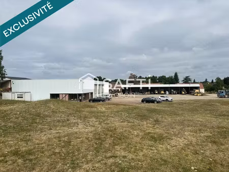 vente locaux professionnels 3 pièces 1120 m² à sully-sur-loire (45600)  423 000 €