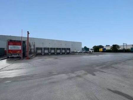 bien professionnel à louer à beveren € 8.335 (lbnbn) - panorama b2b brugge | zimmo