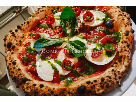 dpt(30) pizzeria en provence à vendre au coeur de village