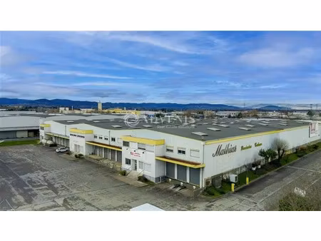 local d'activités a louer