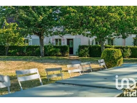 villa de 11 pièces de luxe en vente saint-laurent-en-gâtines  centre