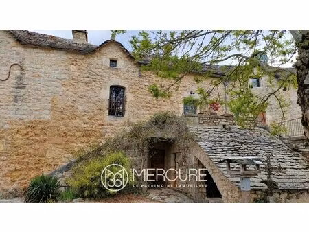 achat maison 8 pièces 530m² la tieule 48500