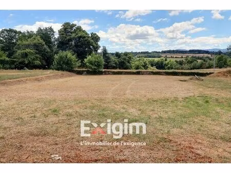 terrain constructible de 982m² - roiffieux