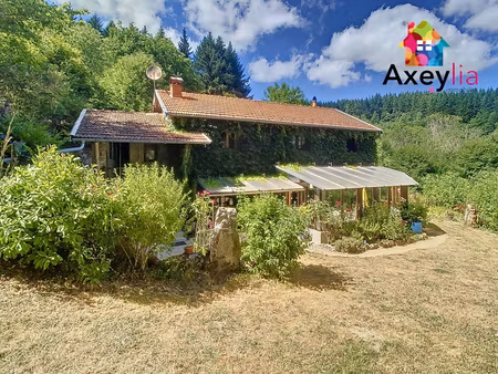 a vendre- saint-rirand- maison en pierre sur terrain de 7500 m2