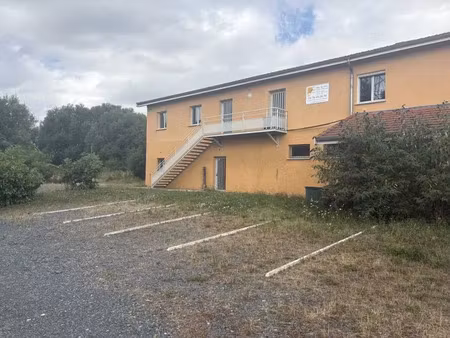 location bureaux/activite - messimy