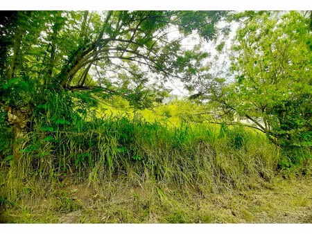 vente terrain  922.00m²  sainte