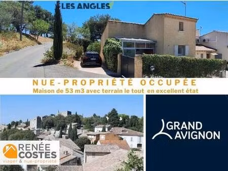 vente en nue propriété - f83 ans - les angles (30133)